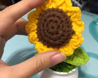 Potted sunflower and lily of the valley