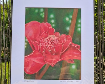 Hawaiian Rain forest Red Ginger Flower Print 11" x 14" Matted Unframed