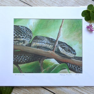Black Snake Painting Print 11&quot; x 14&quot; Matted Unframed
