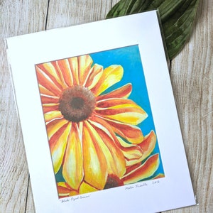 Black Eyed Susan Print 11&quot; x 14&quot; Matted Unframed