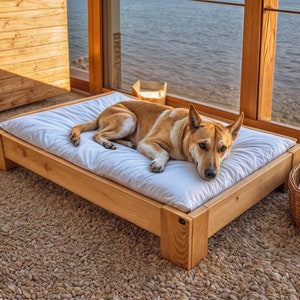 Puede incluir: Un perro marrón claro yace en una cama blanca con un marco de madera. La cama está sobre una alfombra marrón claro. El perro mira hacia la derecha del marco. Hay una cesta de mimbre con una manta blanca en la esquina inferior derecha de la imagen.