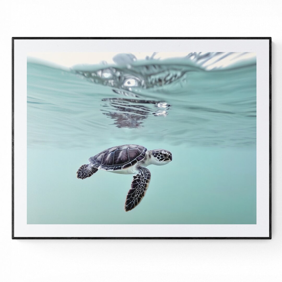 Baby Sea Turtle Wall Art Underwater Poster Sea Animal Print Tropical ...