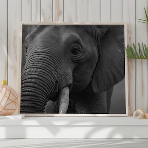 Arte mural de elefantes Impresión en blanco y negro Fotografía de animales Impresión Arte mural africano Póster de vida salvaje Arte mural de naturaleza Impresión digital de paisajes