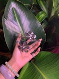 Silver Flower Arm Cuff: Adjustable Boho Floral Jewelry