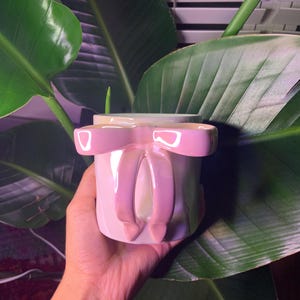 May include: A white ceramic planter with a pink bow. The planter has a glossy finish and is shaped like a gift box.