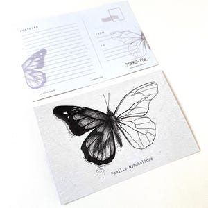 postales d'illustration d'insecte | Art breton noir et blanc inspiré de la nature | Achetez individuellement ou en lot