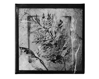 Abstrakte schwarz-weiße botanische Leinwand - 20 x 20 cm