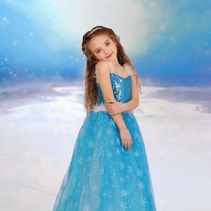 Elsa Costume Girls Princess , Dress For Elsa Cosplay , Girls Elsa Birthday Party and Elsa Girls Fancy Dress up , Princess Flower Elsa Dress