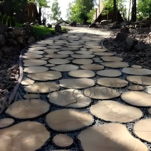 Moldes de plástico para cortar un árbol: molde para losas de hormigón para caminos y pasarelas de jardín
