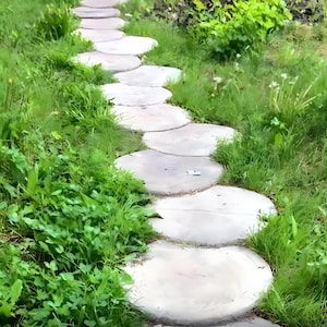 Cut a tree  - plastic mold for concrete paving slabs, Stone pattern,Concrete garden stepping stone, Path Yard, garden walkway