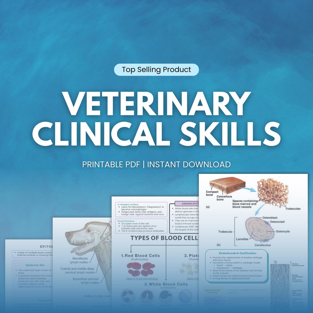 Veterinary Clinical Skills Study Guide Notes | Vet Students | Animal ...