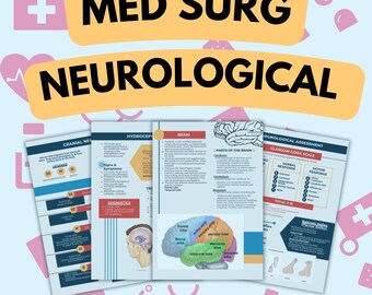 23 Pages Neurological System -  Med Surgery Study Notes , Doctor Lecture , Nurse in the Making , Medicine , Practitioner , College Student