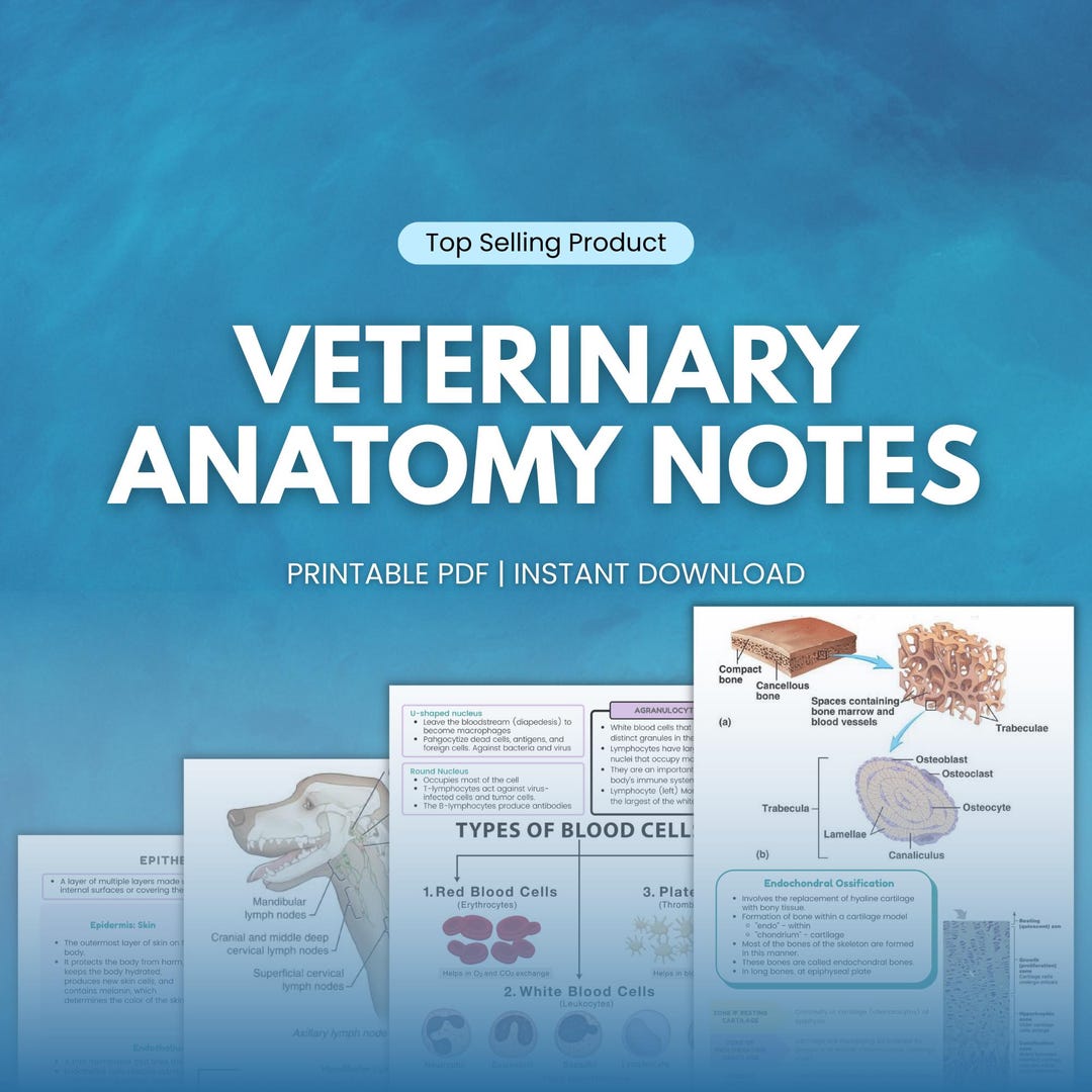 Vet Docnotes Introduction to Vet Anatomy Notes, Veterinary Med Lessons, Study Guide ...