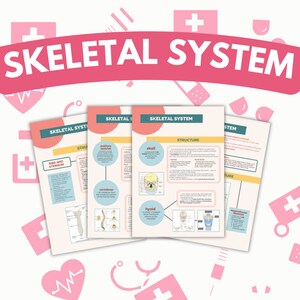 May include: Four printable pages with illustrations and text about the skeletal system. The pages are titled "Skeletal System" and include information about the skull, vertebrae, ribs and sternum, and hyoid bone.
