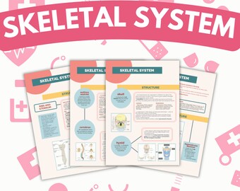 10 Pages Skeletal System Study Guide | Med Student | Pre Med Lectures | Medical School Study Notes | Skeleton | Spine | Bones | Facial Bones