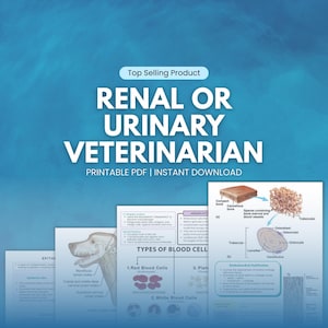 May include: A digital educational resource for veterinary medicine. The image features several detailed diagrams and illustrations, including anatomical drawings and blood cell types. The text reads "RENAL OR URINARY VETERINARIAN" and "PRINTABLE PDF | INSTANT DOWNLOAD".