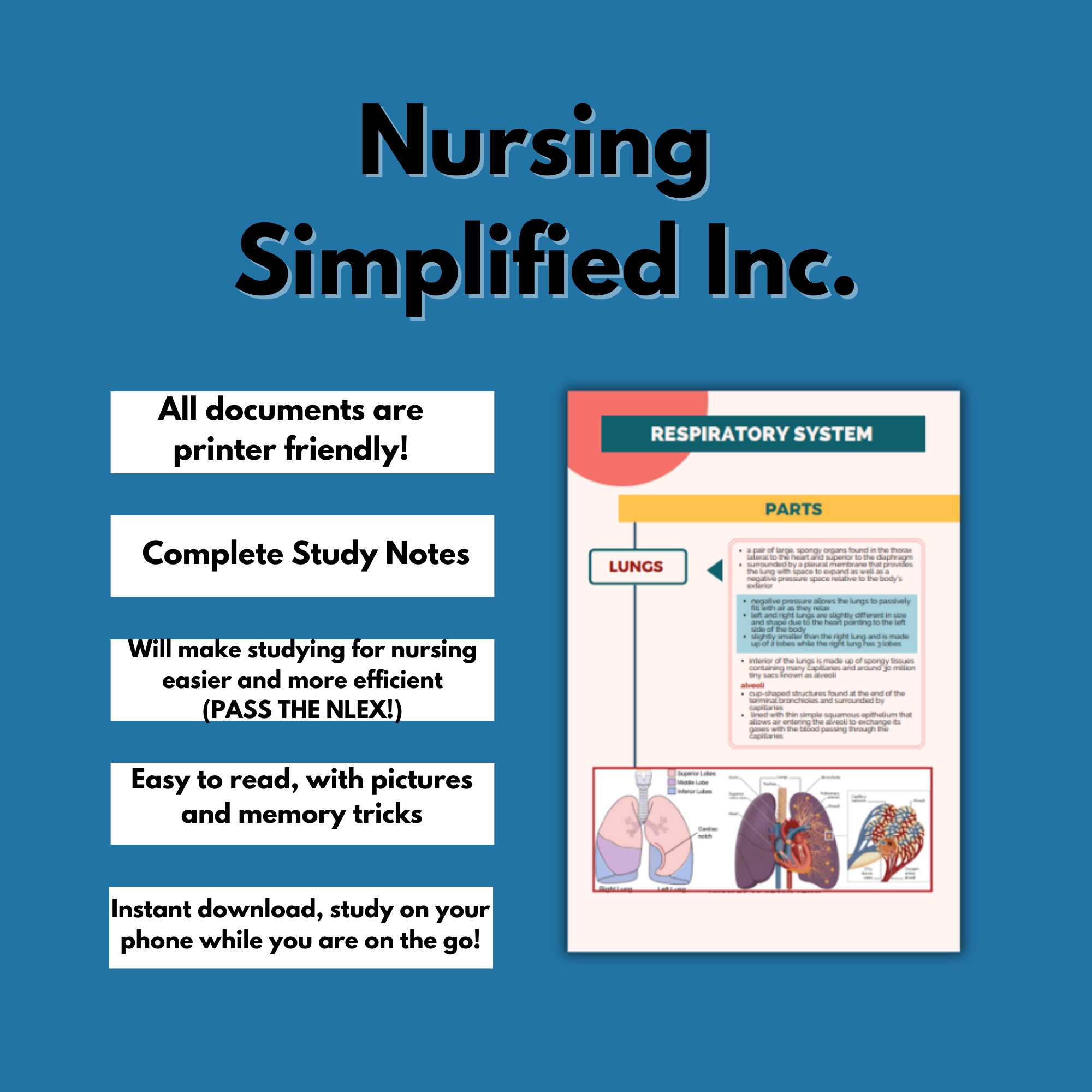 11 Pages Respiratory System Study Notes , Doctor Lecture , Nurse in the ...