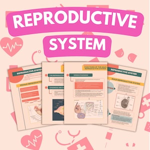 14 stron Notatki do nauki układu rozrodczego | Szkoła pielęgniarska | Przewodnik po anatomii i fizjologii | Plik cyfrowy | Notatki z wykładów | Kompletny przewodnik