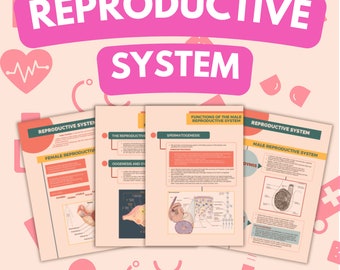 14 Pages Reproductive System Study Notes | Nursing School | Anatomy and Physiology Guide | Digital File | Lecture Notes | Complete Guide