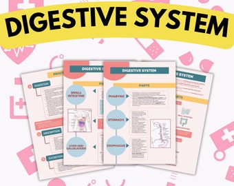 7 Pages Digestive System Study Notes , Doctor Lecture , Nurse in the Making , Medicine , Practitioner , Med College Student