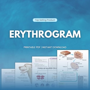Peut inclure: Téléchargement numérique intitulé "ERYTHROGRAM" avec le texte "Top Selling Product" au-dessus. L'image comprend des schémas de cellules sanguines et de la structure osseuse, avec les mots "PRINTABLE PDF | INSTANT DOWNLOAD" en dessous.