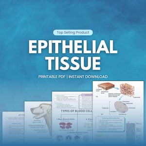 Puede incluir: Una descarga digital titulada "EPITHELIAL TISSUE" con el texto "PRINTABLE PDF | INSTANT DOWNLOAD". La imagen incluye diagramas de células sanguíneas y estructuras óseas, con un fondo azul.