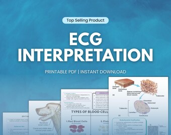 Notas de interpretación de ECG, Lecciones de Medicina Veterinaria, Médico de Animales Domésticos, Estudiantes Universitarios de Veterinaria, Cuidado de Animales, Revisor Veterinario
