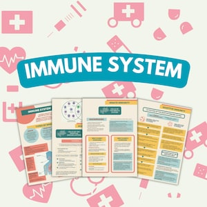 8 Pages Immune System Study Notes | Nursing School | Anatomy and Physiology Guide | Digital File | Lecture Notes | Complete Guide