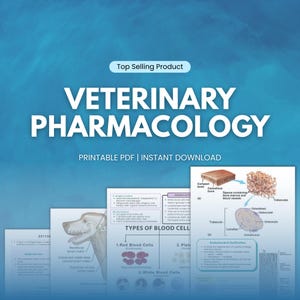 Op de afbeelding: Een digitale educatieve bron getiteld "VETERINARY PHARMACOLOGY" met de tekst "PRINTABLE PDF | INSTANT DOWNLOAD". De afbeelding bevat diagrammen van bloedcellen, botstructuur en de anatomie van een hond. De woorden "Top Selling Product" zijn ook zichtbaar.