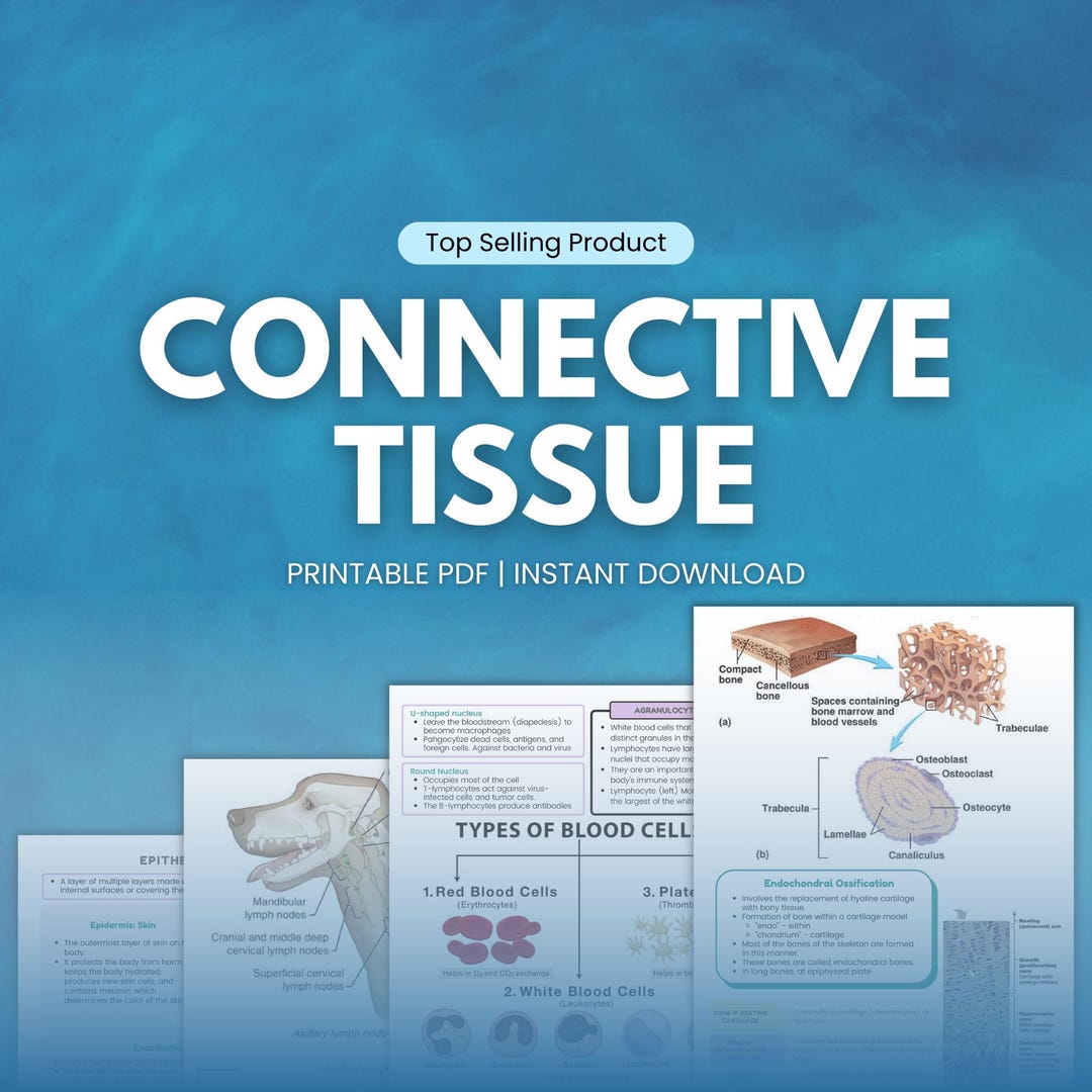 Connective Tissue Notes.pdf Connective Tissue Notes, Veterinary Med Lessons, Study Guide Vet Tech ...
