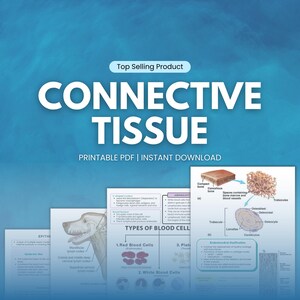 Puede incluir: Una descarga digital titulada "CONNECTIVE TISSUE" con el texto "Top Selling Product" encima. La imagen incluye diagramas de células sanguíneas, estructura ósea y la cabeza de un perro. También está presente el texto "PRINTABLE PDF | INSTANT DOWNLOAD".