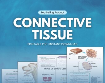 Appunti sul tessuto connettivo, lezioni di medicina veterinaria, guida allo studio per tecnici veterinari, studenti universitari di veterinaria, cura degli animali, revisore veterinario, stampabile