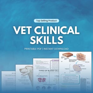 Op de afbeelding: Een digitale download met de titel "VET CLINICAL SKILLS" met diagrammen van bloedcellen, botstructuur en de anatomie van een hond. De tekst "PRINTABLE PDF | INSTANT DOWNLOAD" is ook zichtbaar. De achtergrond is een blauwe gradiënt.