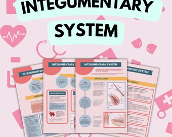 5 Pages Integumentary System Study Notes , Doctor Lecture , Nurse in the Making , Medicine , Practitioner , Med College Student , Skin