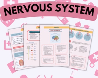 8 Pages Nervous System Study Guide | Clinical Skills | Premed Student Course | College | Future Doctor | Nerves | Parts of Brain | PDF