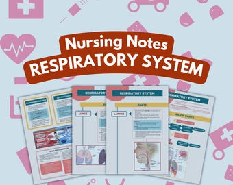 11 pagine di appunti di studio sul sistema respiratorio, lezione per dottori, infermiere in erba, medicina, professionista, studente universitario di medicina, scambio di gas