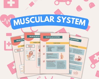 Appunti di studio di 6 pagine sul sistema muscolare, lezione di dottorato, infermiere in erba, medicina, professionista, studente universitario di medicina, movimento muscolare
