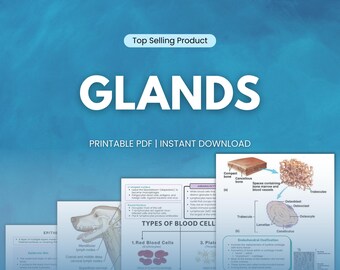 Appunti sulle ghiandole, lezioni di medicina veterinaria, guida allo studio per tecnici veterinari, studenti universitari di veterinaria, cura degli animali, revisore veterinario, lezione stampabile