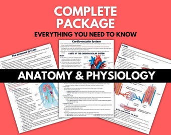 Anatomy and Physiology Bundle Package |  80+  Page Bundle |  Nurse Study Notes | Biology | Anatomy Lessons | Lecture | All Body Systems