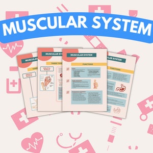 6 Pages Muscular System Study Notes , Doctor Lecture , Nurse in the Making , Medicine , Practitioner , Med College Student , Muscle Movement