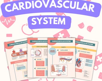 11 Pages Cardiovascular System Study Notes | Nursing School | Anatomy and Physiology Guide | Digital File | Lecture Notes | Complete Guide