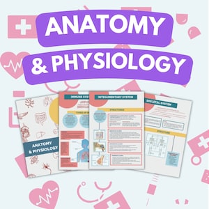 May include: Three colourful printable anatomy and physiology charts with illustrations of the immune system, integumentary system, and skeletal system. The charts have titles and headings in black text on a white background.