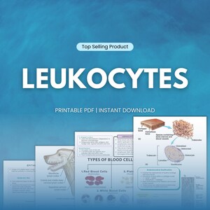 May include: A blue background with the text "LEUKOCYTES" and "PRINTABLE PDF | INSTANT DOWNLOAD." Several diagrams illustrate blood cells and bone structure. The words "Top Selling Product" are also visible.