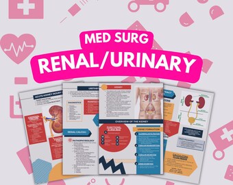 19 Pages Renal or Urinary System - Med Surgery Study Notes , Doctor Lecture , Nurse in the Making , Medicine, Practitioner, College Student