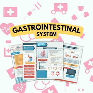16 pagina's Gastro-intestinaal systeem - medische chirurgie | Klinische vaardigheden | Cursus voor gevorderden | Hogeschool | Toekomstige arts | Spijsverteringsstelsel