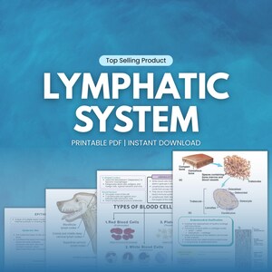 May include: A digital download product titled "LYMPHATIC SYSTEM" with the text "Top Selling Product." The image features diagrams and illustrations related to the lymphatic system and blood cells, with the words "PRINTABLE PDF | INSTANT DOWNLOAD."