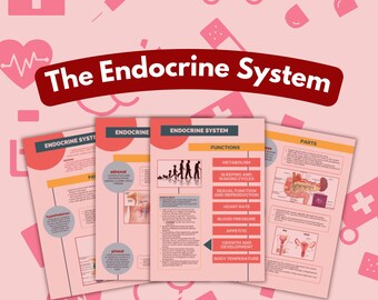 12 Pages Endocrine System Study Notes , Doctor Lecture , Nurse in the Making , Medicine , Practitioner , Med College Student
