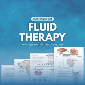 May include: A digital download titled "FLUID THERAPY" with the text "Top Selling Product" above it. The image includes several educational diagrams, including types of blood cells and bone structure illustrations. The text "PRINTABLE PDF | INSTANT DOWNLOAD" is also visible.