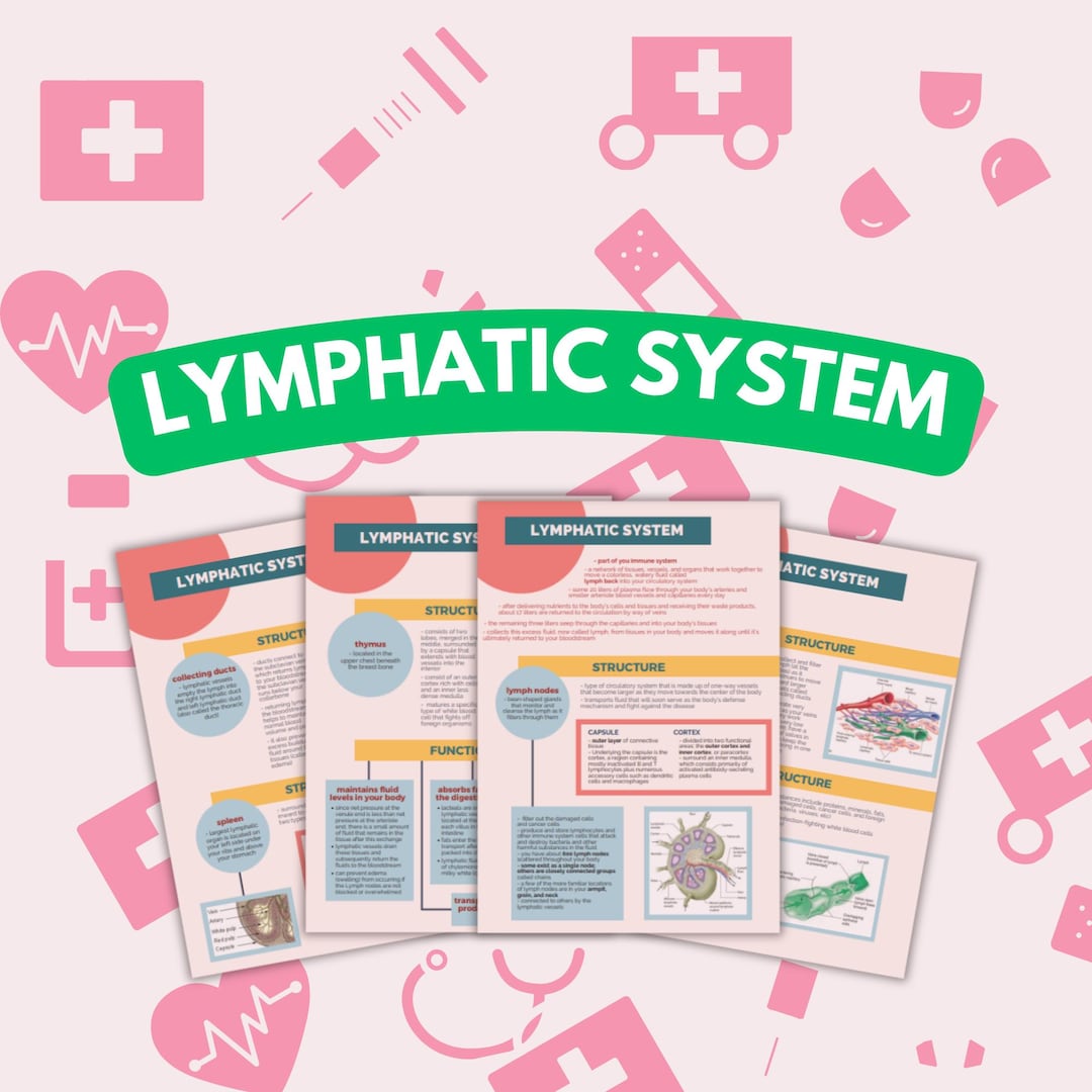 4 Pages Lymphatic System Study Notes , Doctor Lecture , Nurse in the ...