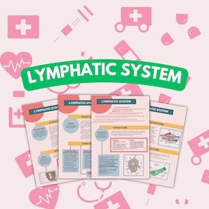 4 Pages Lymphatic System Study Notes , Doctor Lecture , Nurse in the Making , Medicine , Practitioner , Med College Student , Lymphoid